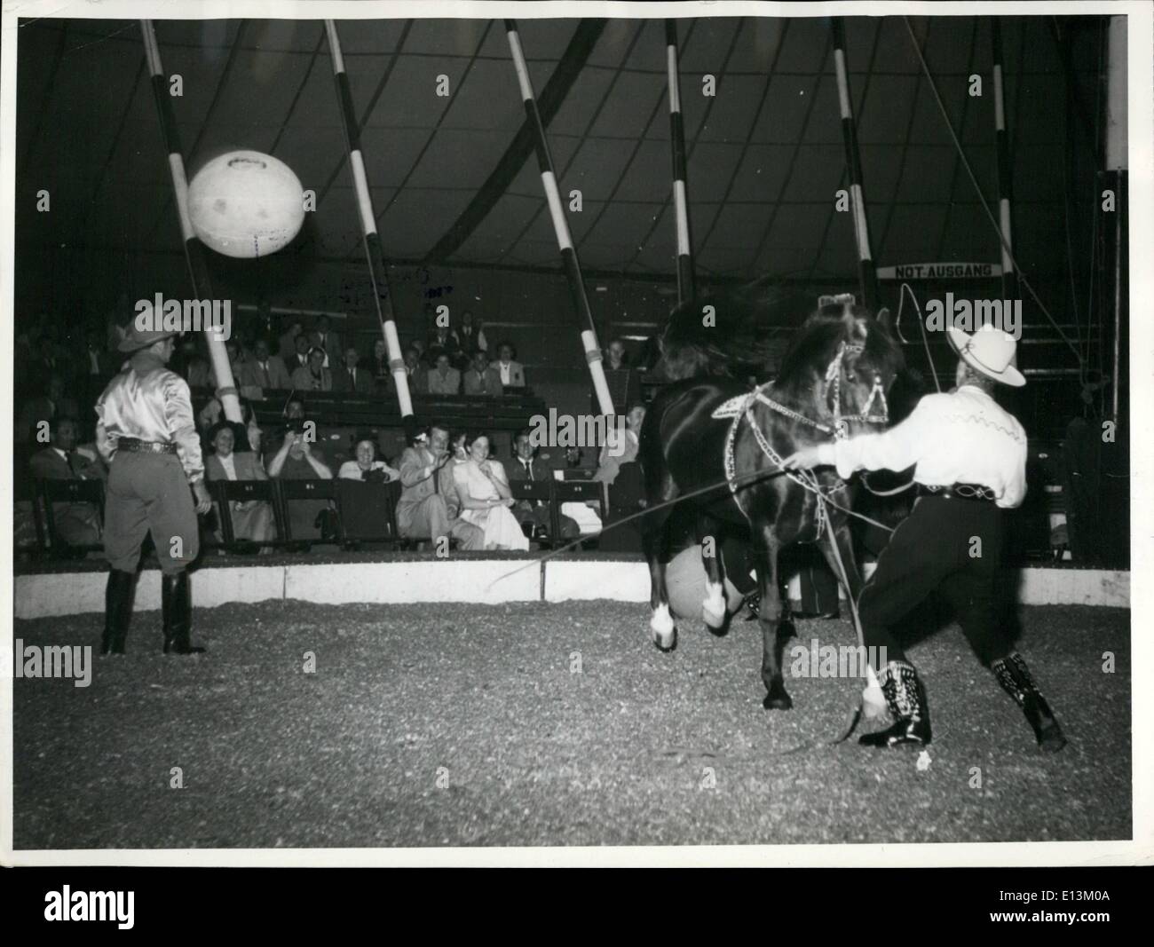 Mar. 02, 2012 - Every evening the visitors of Circus Busch in Munich are quite surprised about the horse ''Suez'' when it shoots the balls with its hind quarter among the public. The spectators throw back the balls so that there is a very interesting team-play. Stock Photo