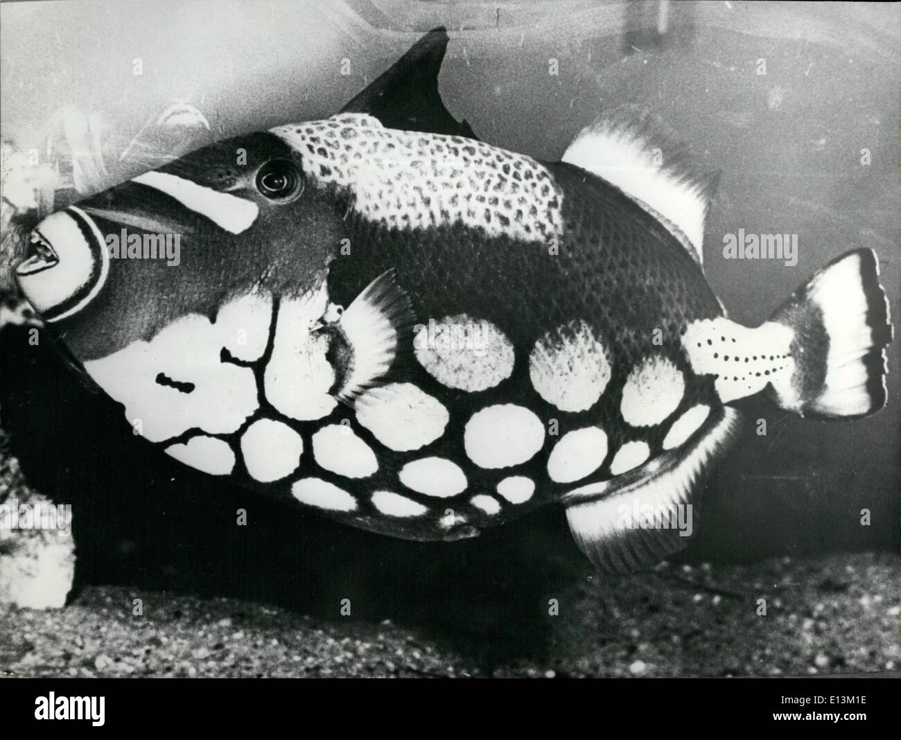 Mar. 02, 2012 - ress Photo, incomplete caption Stock Photo - Alamy