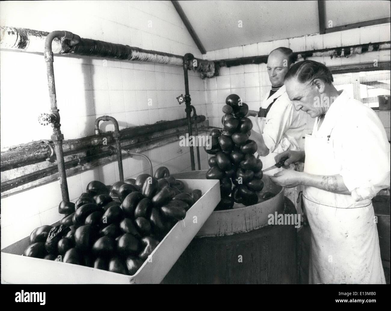 Mar. 02, 2012 - Walter Markey (right) who has to made over 200 tons of black pudding since he left school at the age of 12 works on what he hopes will the winner! Stock Photo