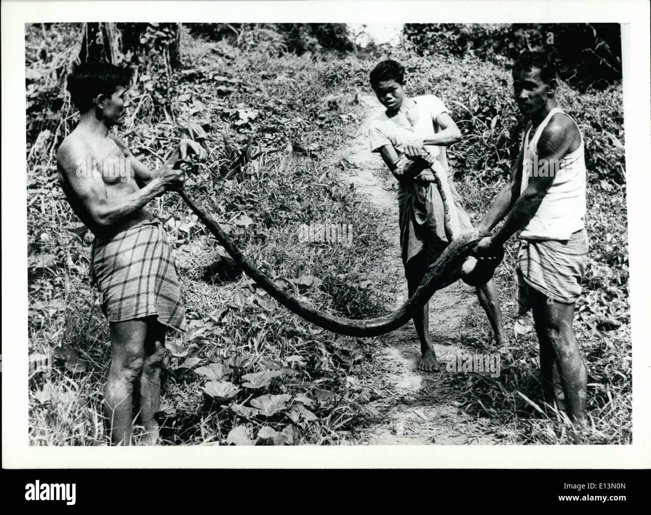 Mar. 02, 2012 - EAST PAKISTAN An important discovery in the Chitlagong ...