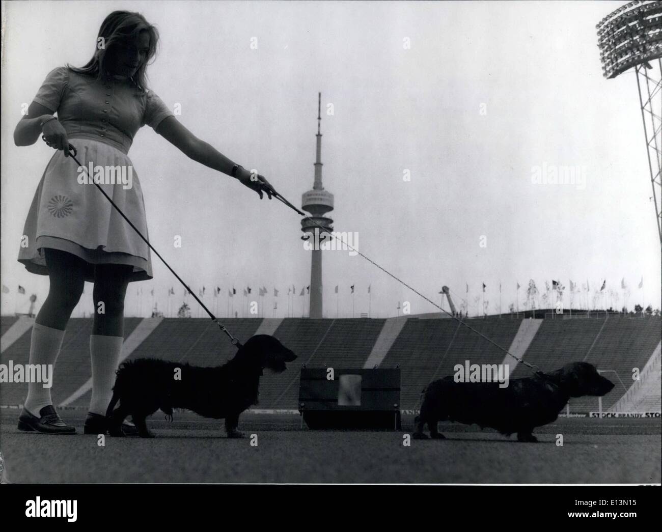 Mar. 02, 2012 - Olympia Dachshund testing the finish photographic facility at the Olympic Stadium. As representative of the big Munich dachshund clan, Freia and Rowdy made it their duty of testing the newly installed photographic time exposure facility at the Olympic Stadium. The dachshund is the official mascot of the Olympic Games 1972 in Munich. Keystone West Germany 8.6.72 Stock Photo
