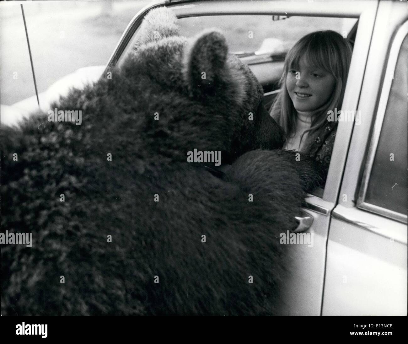 Mar. 02, 2012 - Hallo. This friendly bear does his best to make the visitors feel welcome-at Woburn Park. Stock Photo