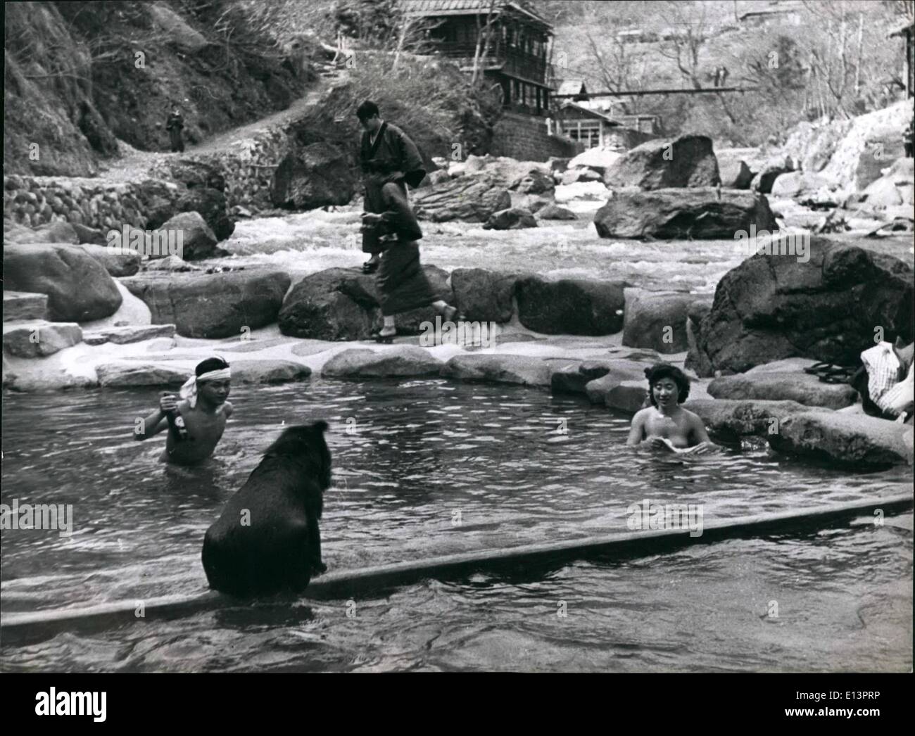 Mar. 22, 2012 - They are all ''bathing bears bares '', or ''bear bare