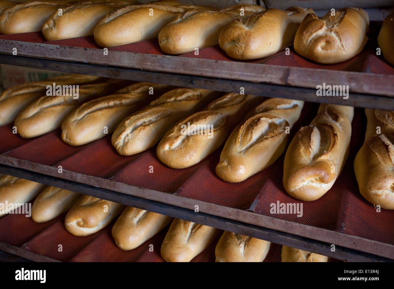 Breads in Bakery, San Pedro Marnique. Castilla y Leon. Soria. Spain Stock Photo