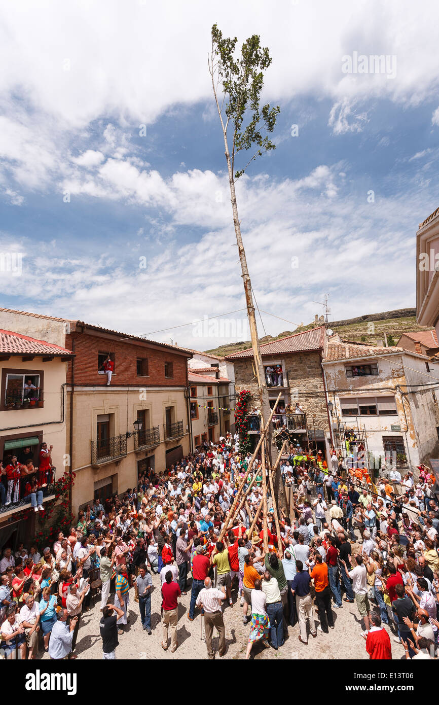 Mayo. San Pedro Marnique. Castilla y Leon. Soria. Spain Stock Photo