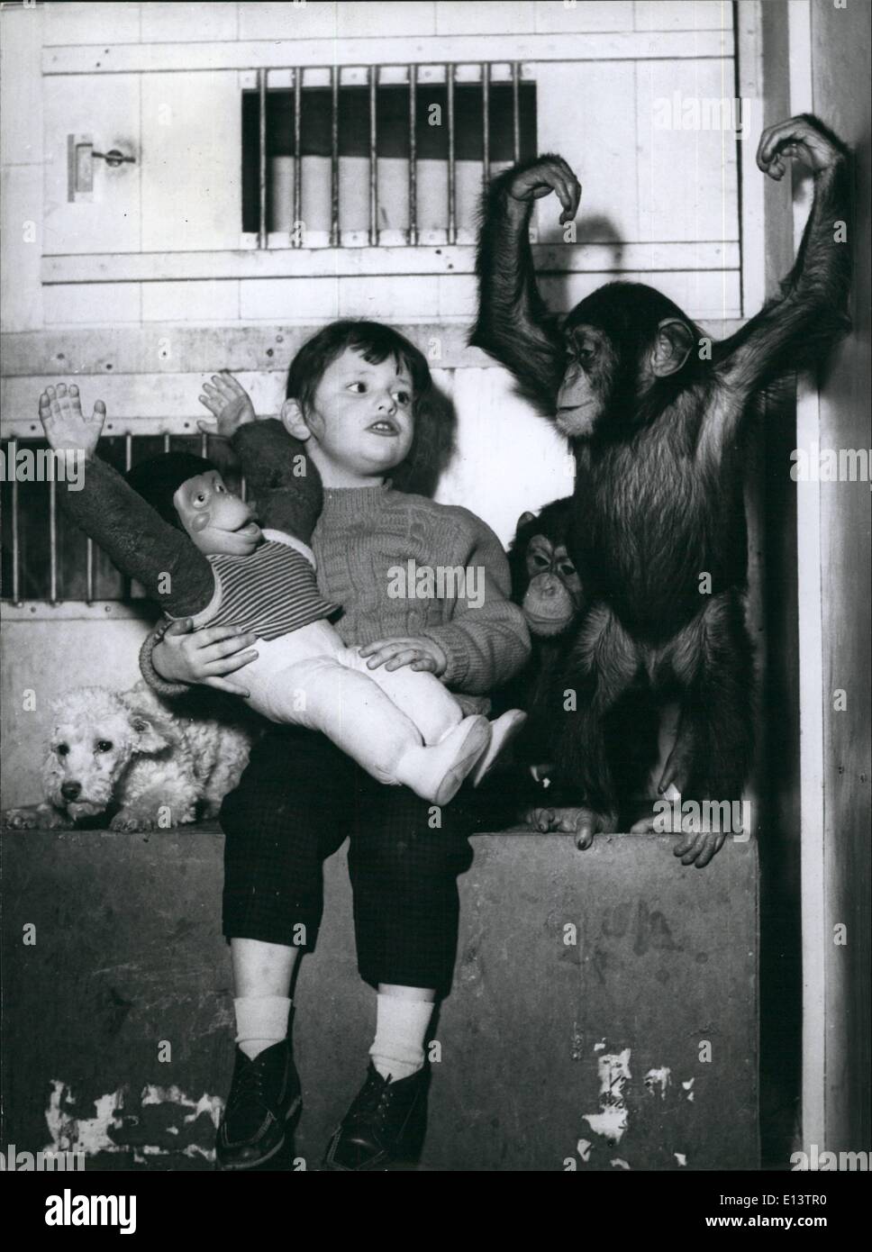 Mar. 27, 2012 - No Monkey Business Nov - Silvava takes a stern line with the chimps. Stock Photo