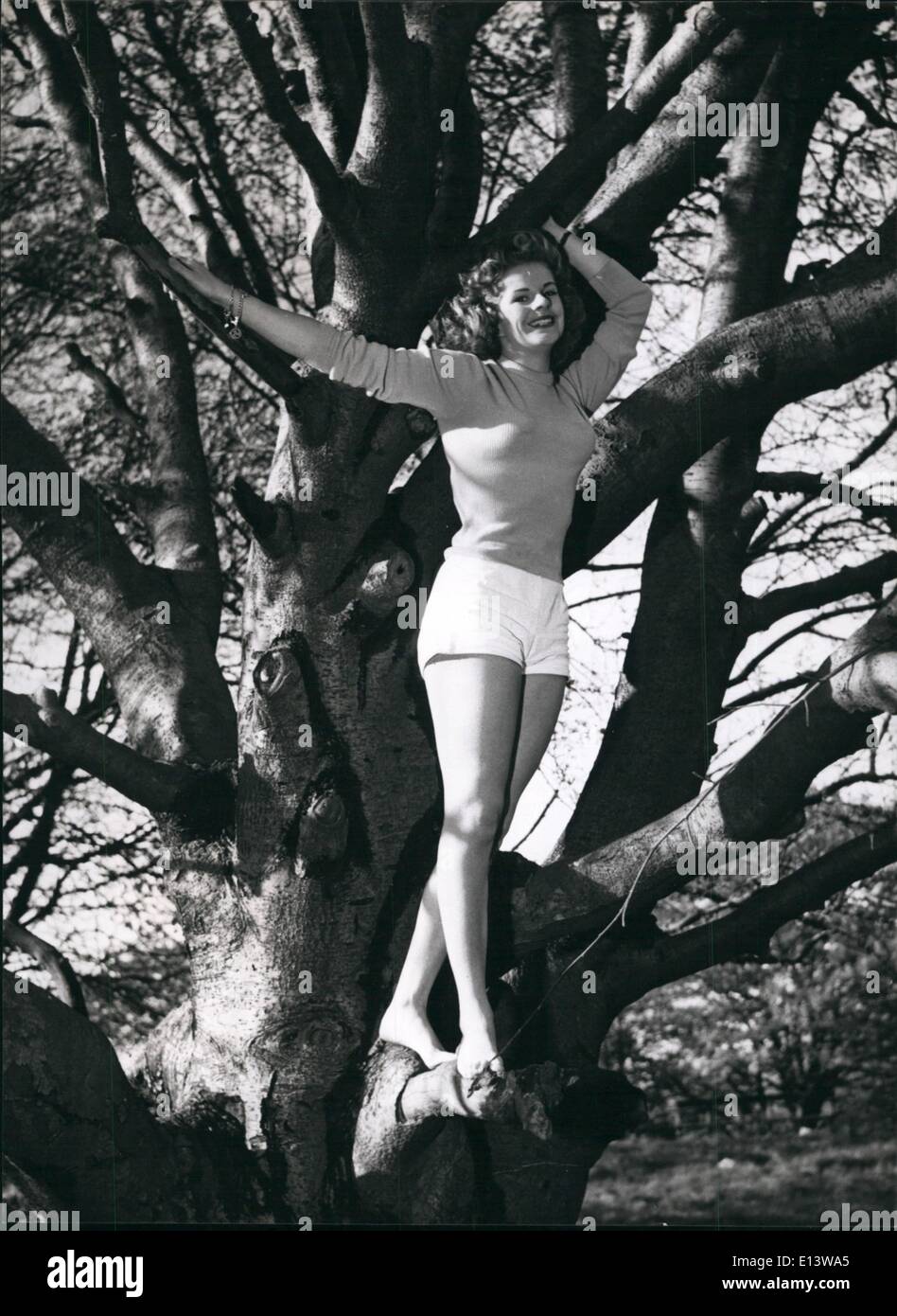 Mar. 27, 2012 - We bow to this girl of the Boughs: Two kinds of limbs here. The shapely limbs of tree lover Marilyn Davis, and the limbs of the tall trees in which she loves to disport herself. Marilyn's as at home in the woods as before the television cameras - but she prefers the open-air life of the former. Stock Photo