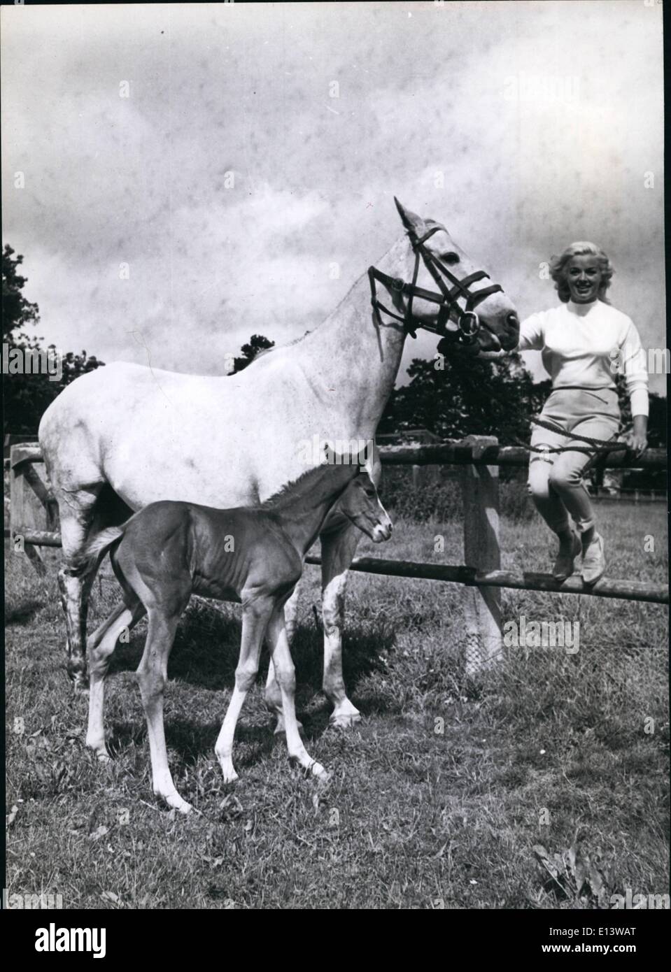 Mar. 27, 2012 - Town-bred Diana Dors enjoys the Sussex country-side with a friendly mare and her foal on her new farm. Stock Photo