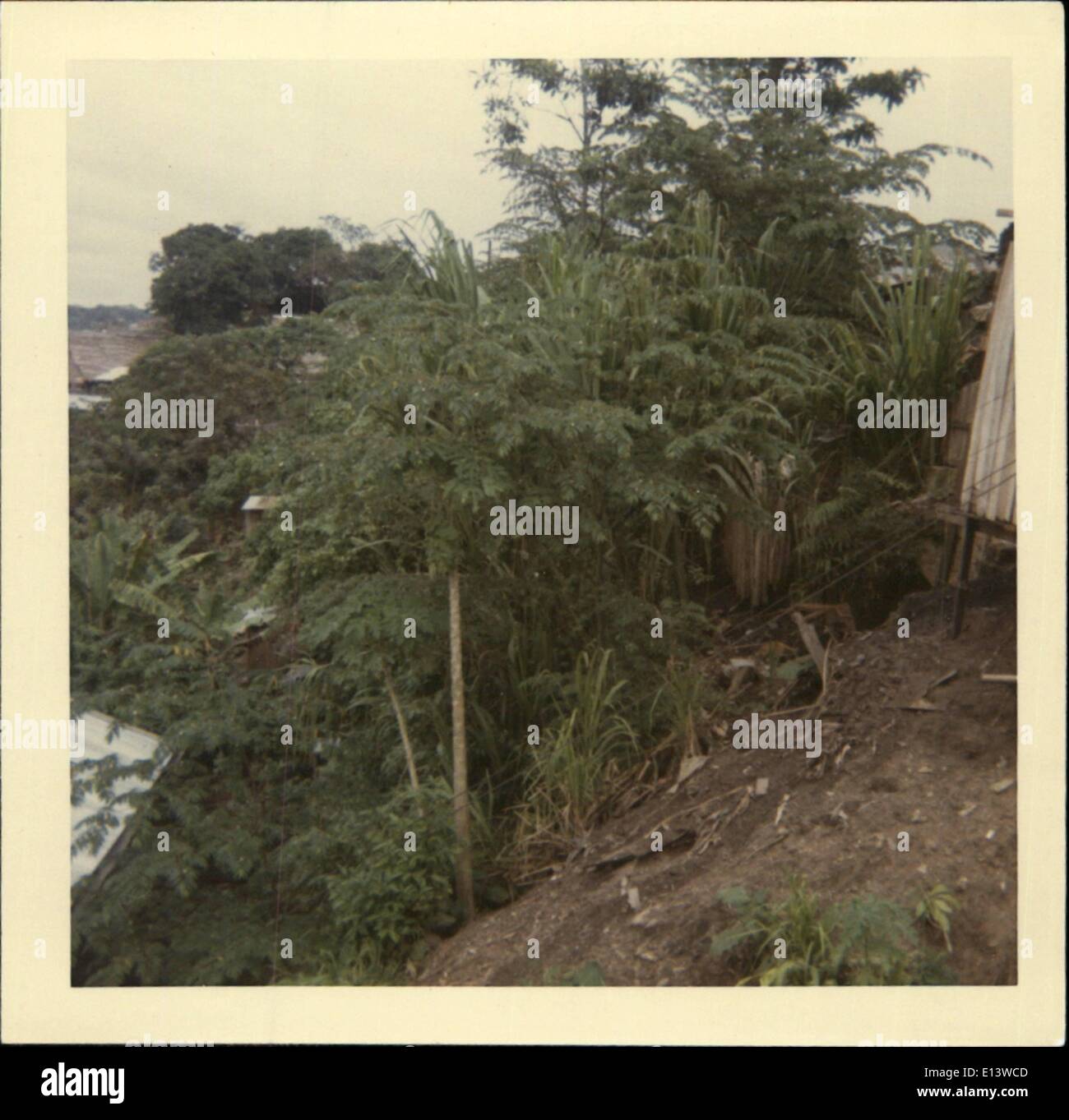 Black Soil Amazon High Resolution Stock Photography And Images Alamy