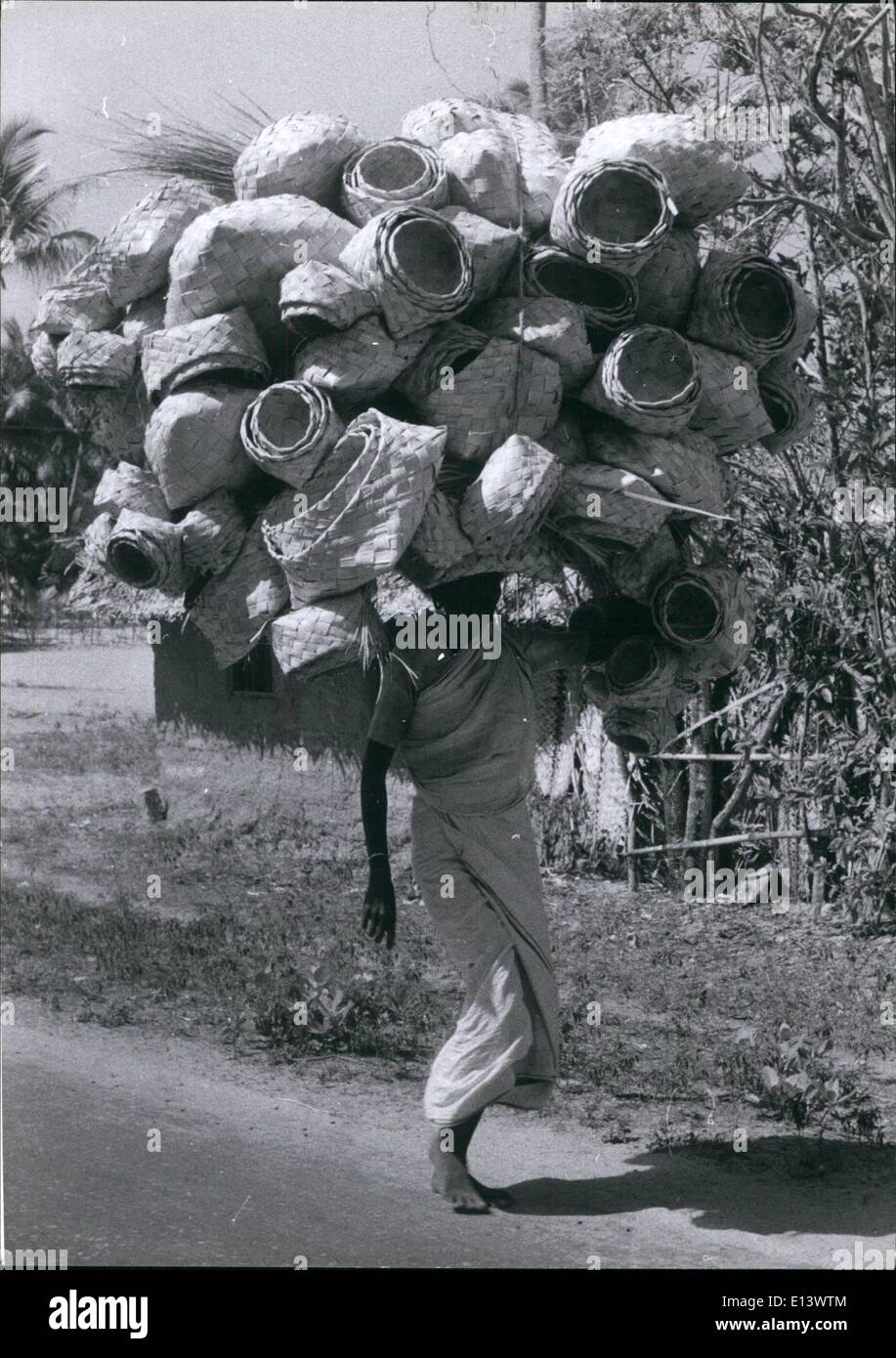 Mar. 27, 2012 - She was promised better conditions by the Communists for her vote, but she has to tote more baskets than before... after making them herself... and trying to sell them in Trivandrum. Stock Photo