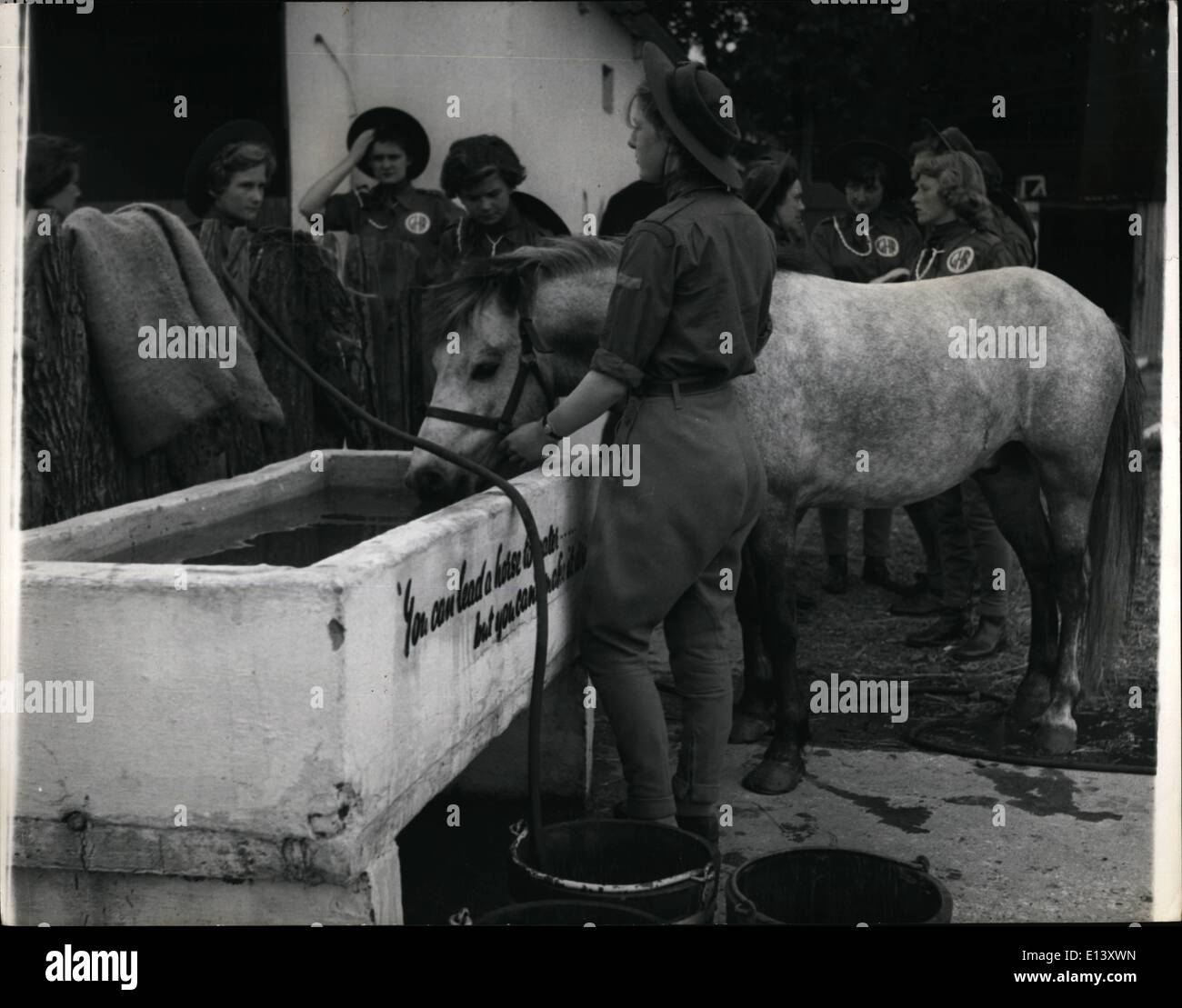 You can lead a horse to water hires stock photography and images Alamy