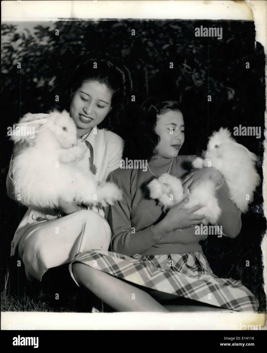 Mar. 31, 2012 - Two Beauties: Two lovely Angora rabbits belongings to Tomiko Yamada's farm are mursed by to equally lovely Japanese girls. Stock Photo