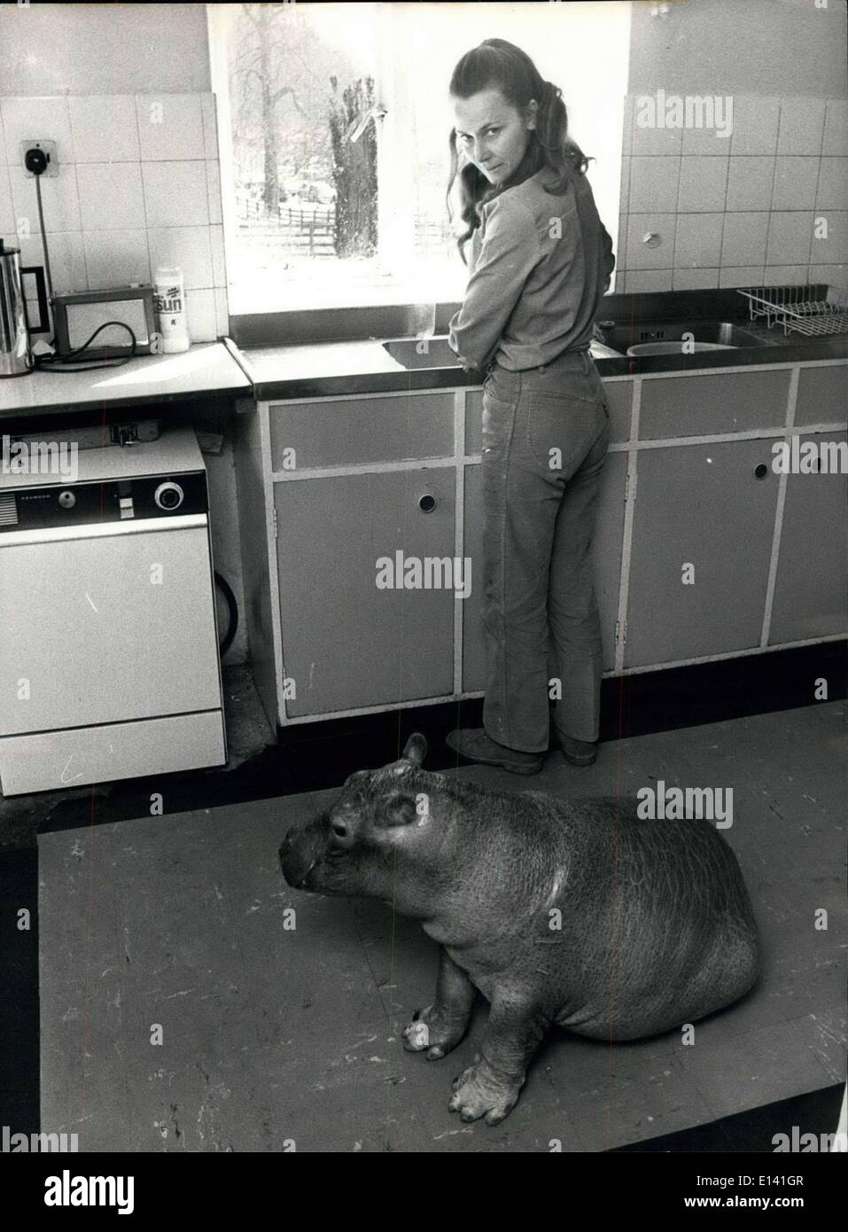 Mar 31 2012 A Hippo In The House Some People Like To Have A