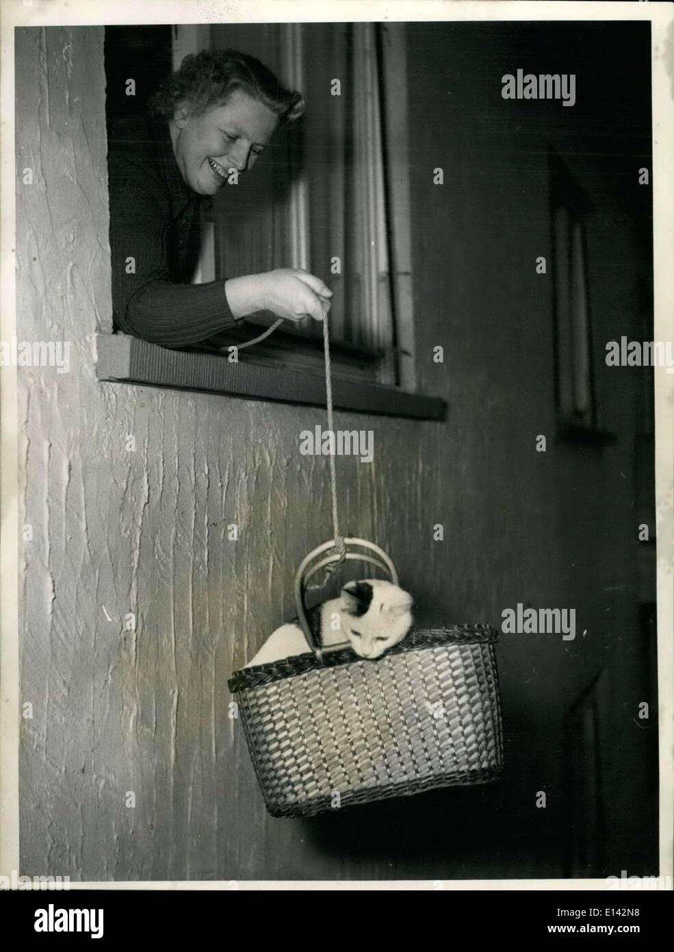 Mar. 31, 2012 The ''cat elevator''. That's not happening every day