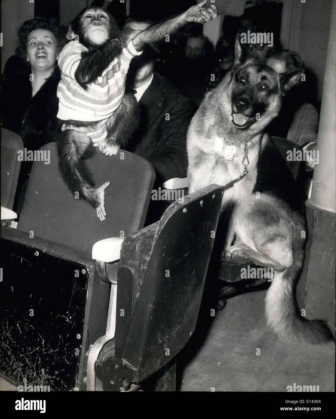 Mar. 31, 2012 - Take your pets to the show. A special show organized under the sponsorship of Friend of the Animals society was held in a Paris cinema last night. Only spectators who were accompanied by their pets were admitted. OPS: An amusing shot taken during the interval showing a monkey and a dog among the spectators. Dec. 5th/56 Stock Photo