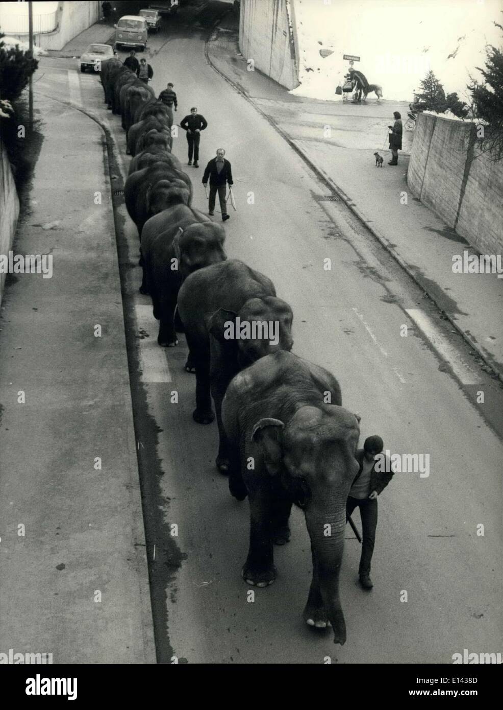 Mar. 31, 2012 - Elephant walk in the first days of spring. The Swiss national circus Knie now soon will leave its winter camp in Rappesrwill. These last quiet days fortunately the first charming spring-days, the large elephant family, composed fo 14 members, goes out for a leisurely walk in the street of Rapperswill. Keystone Zurich 10-3-70 Stock Photo