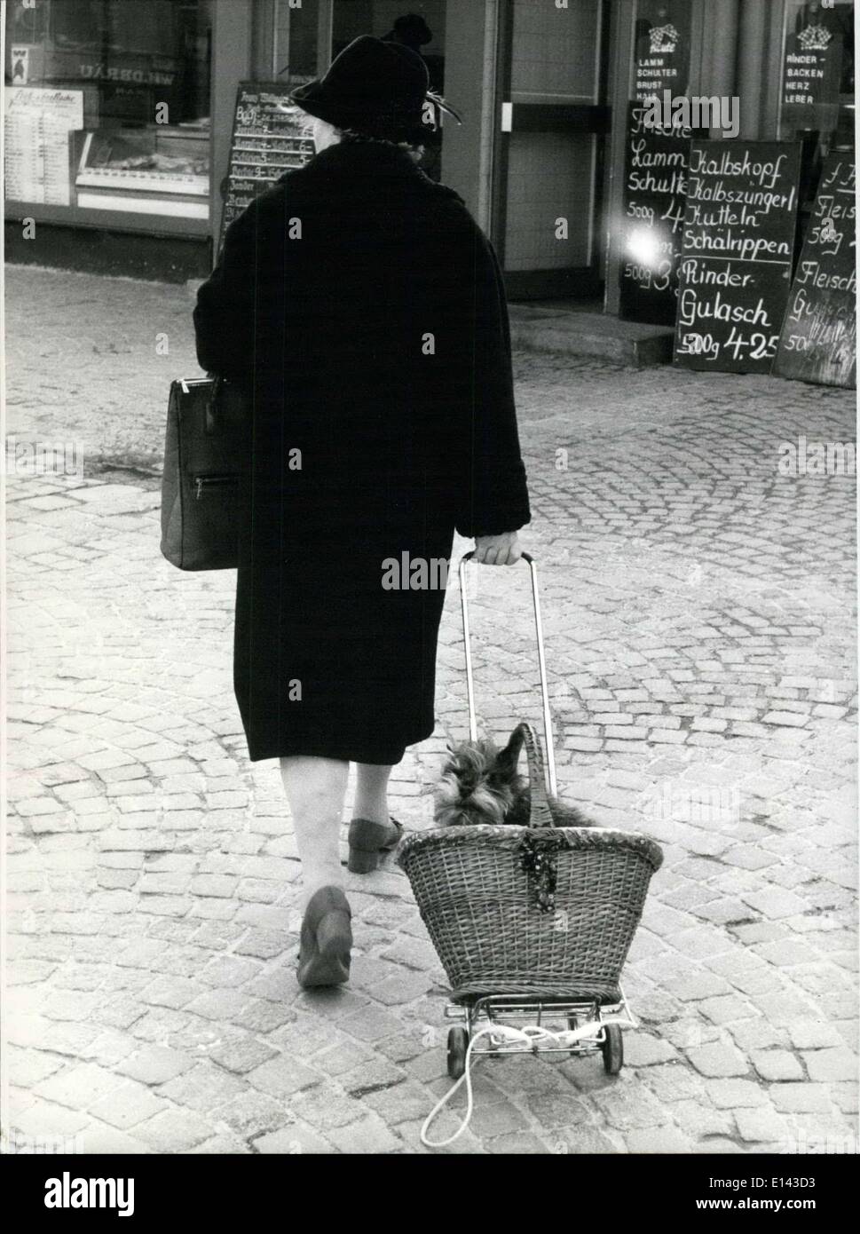 Apr. 04, 2012 - Quickly into the basket.: This little dog jumps, when its mistress sets out to go shopping on the Munich Viktualien-Market. Why should it strain its own feet, then . To the schnauzer it is rather convenient as well as for its mistress, as her darling doesn't stop at every corner to snuff around. Only when they come nearer and nearer t the butcher's shop and the little dog gets wind of fresh lamb-meat or sausages it usually won't stay in his basket any longer. Only in this case the photographer was more interesting than the delicious food it was expecting. Stock Photo
