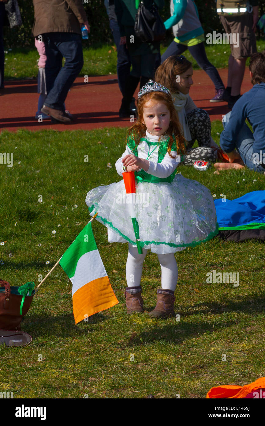 st patricks day stock image