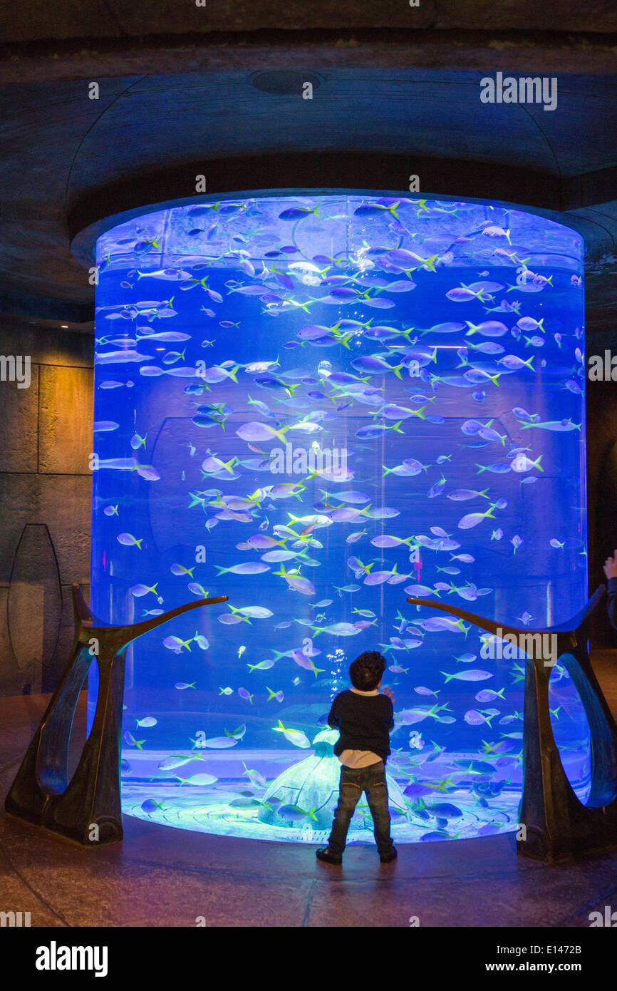 United Arab Emirates, Dubai, Aquarium in Atlantis Hotel on Palm ... - UniteD Arab Emirates Dubai Aquarium In Atlantis Hotel On Palm Jumeirah E1472B
