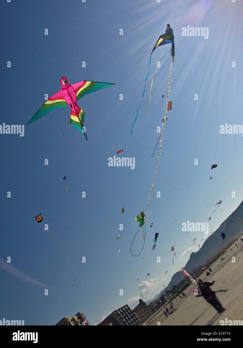 Kites flying on beach Stock Photo Alamy