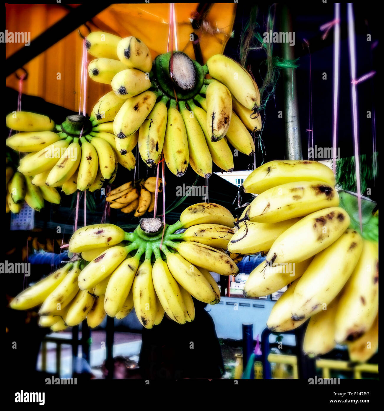 Bananas for sale at market - Smartphone Captured Stock Image