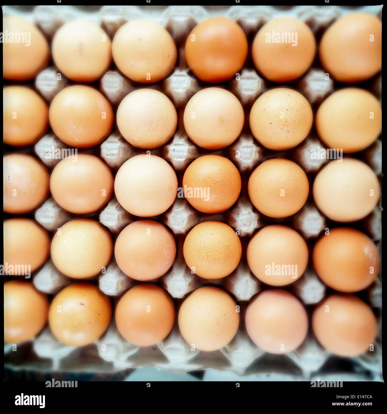 Close up of carton of eggs - Smartphone Captured Stock Image