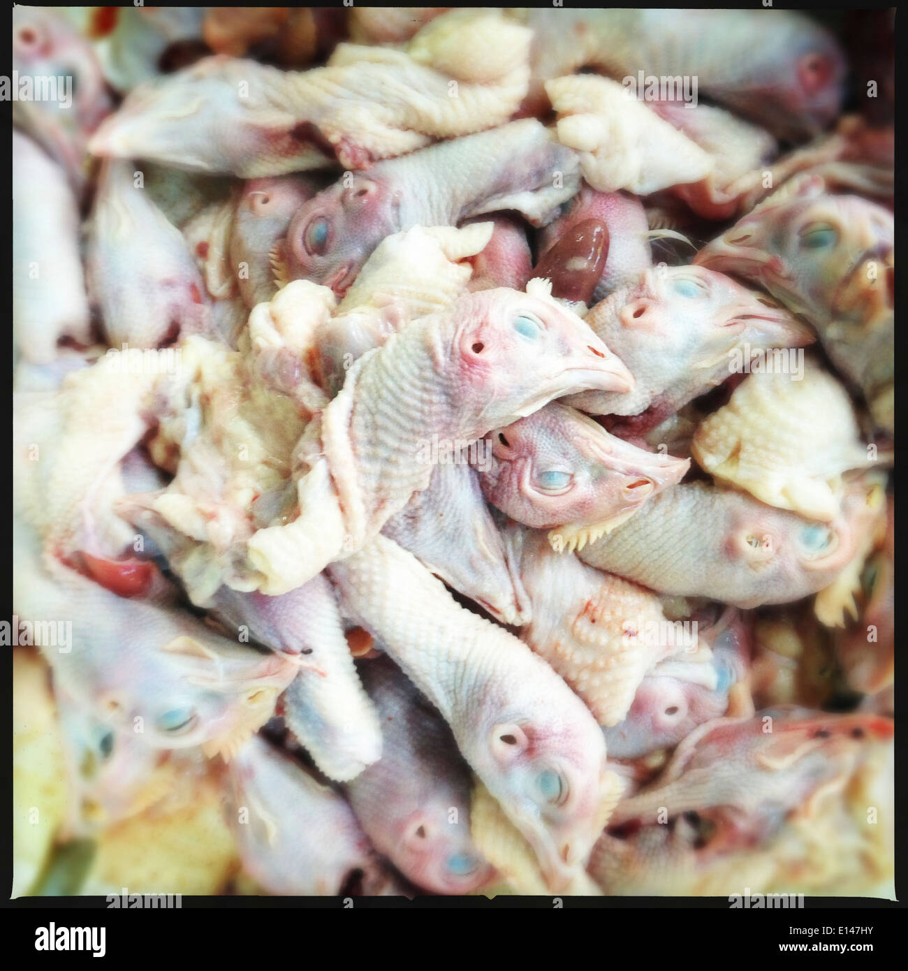 Pile of chicken heads - Smartphone Captured Stock Image