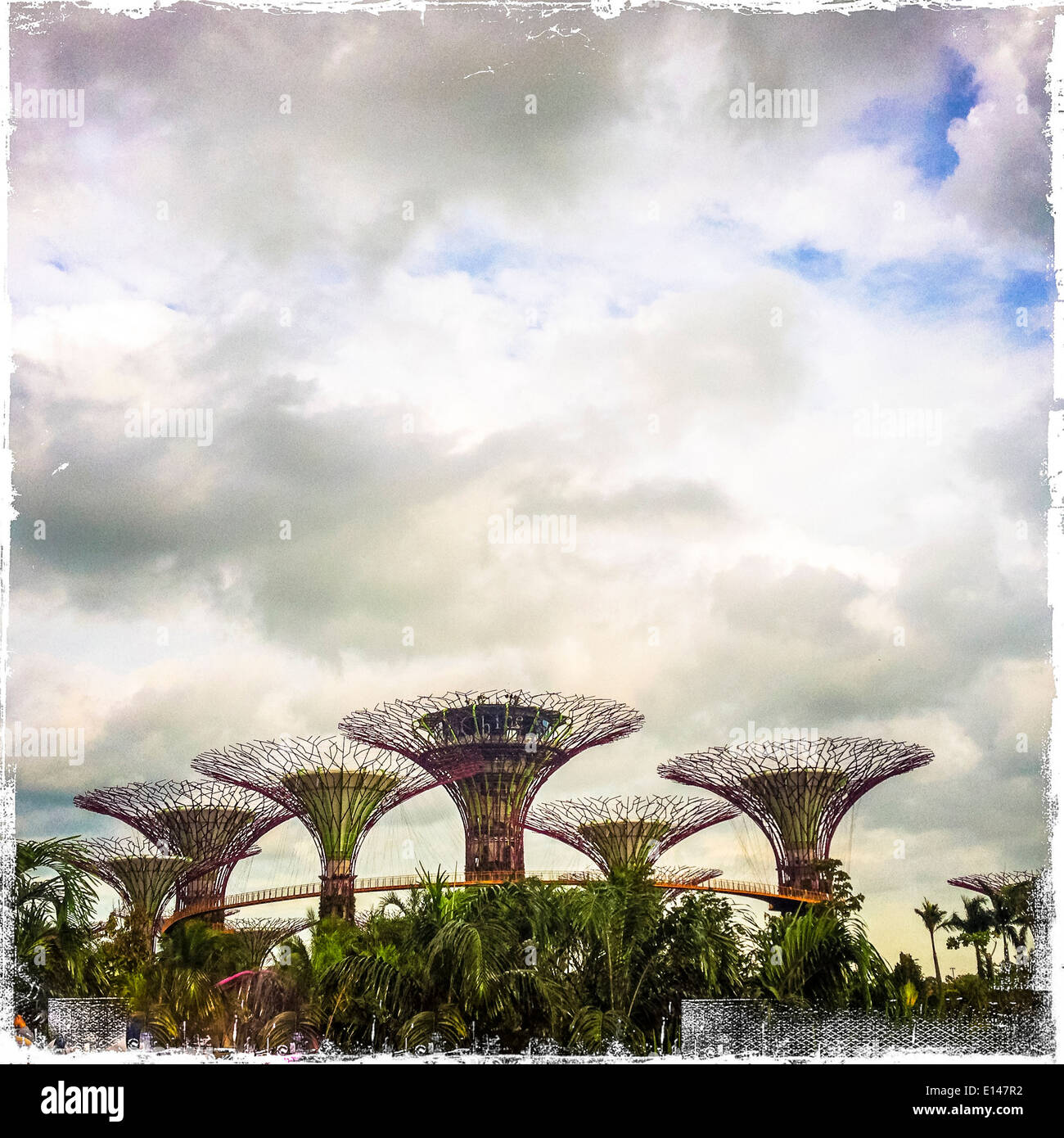 Futuristic trees under cloudy sky, Singapore, Republic of Singapore - Smartphone Captured Stock Image