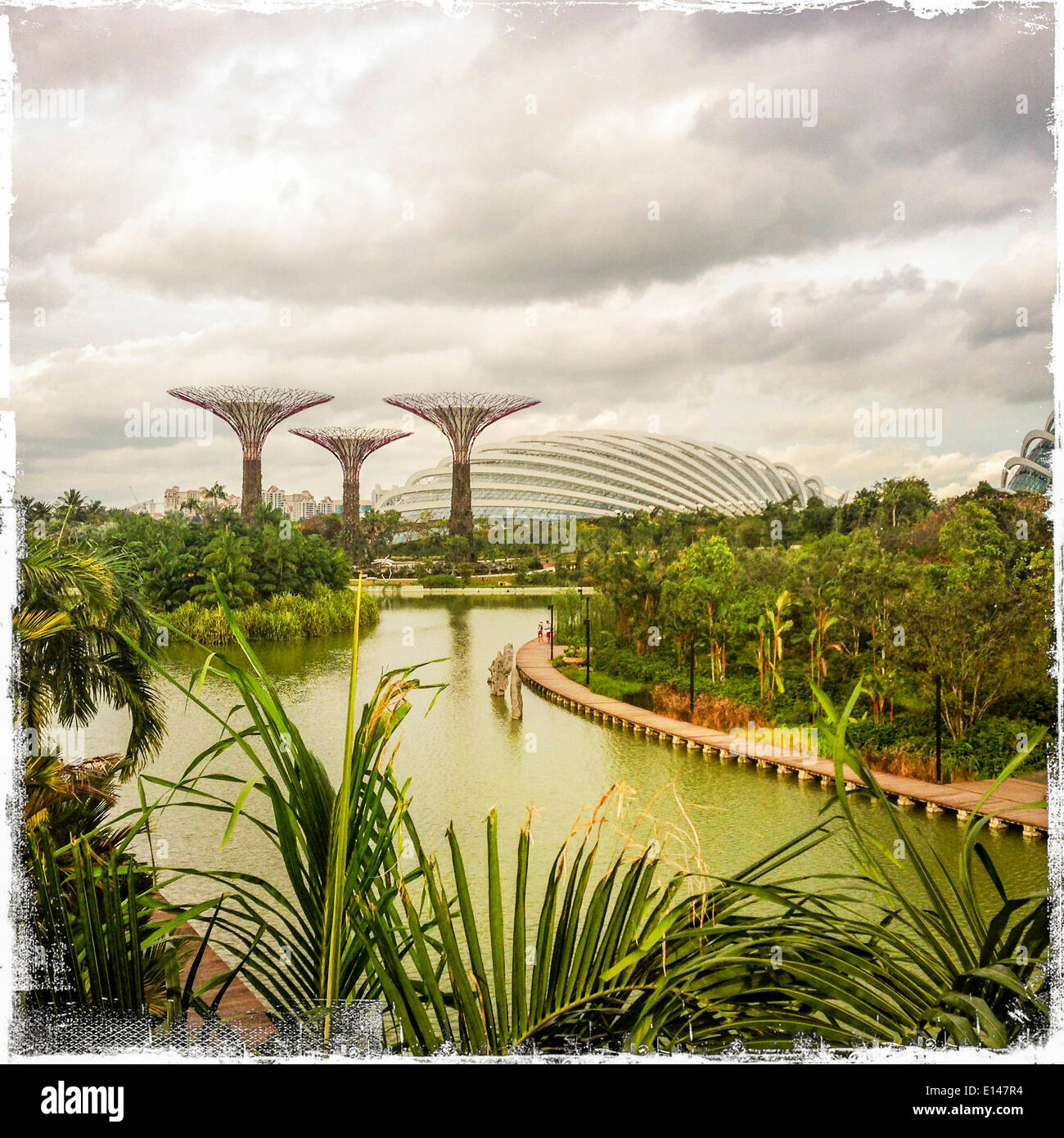 Futuristic trees in green park, Singapore, Republic of Singapore - Smartphone Captured Stock Image