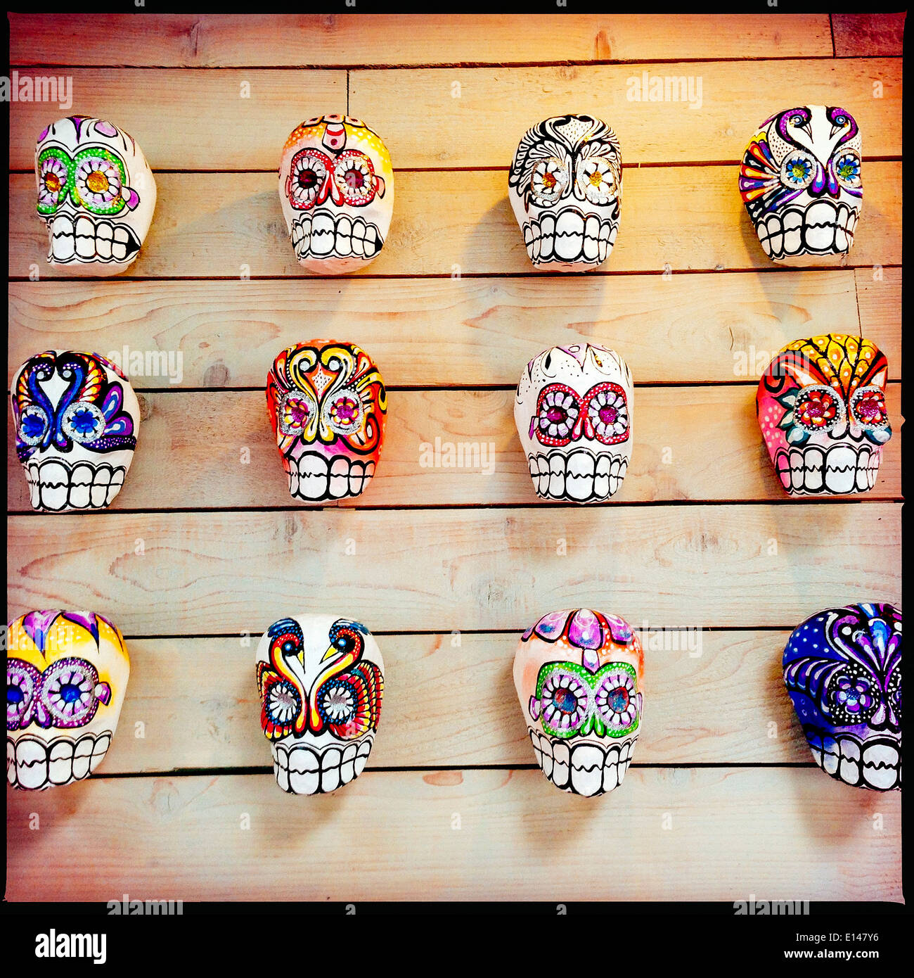 Painted skulls hanging on wooden wall Stock Photo Alamy