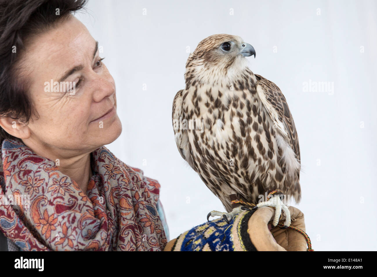 United Arab Emirates,  Abu Dhabi, Tourist, woman, with falcon Stock Photo