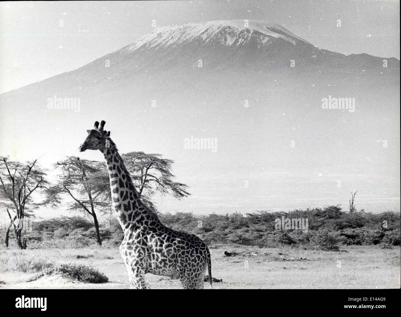 Apr. 17, 2012 - Kenya - Rift Valley - Big Game - with Mt. Kilimanjaro Stock Photo