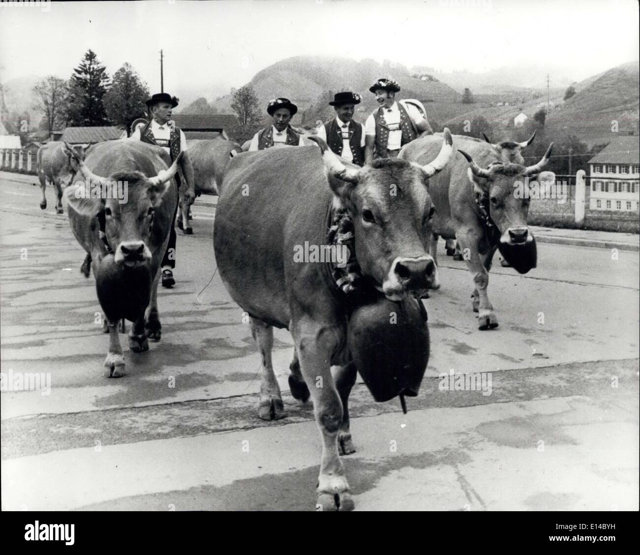 Apr. 17, 2012 - An old Swiss tradition. Every Spring an old tradition takes place in Switzerland when farmers bring their cows to the mountains. The farmers wear traditional clothes and the cows wear large bells round their necks. Stock Photo