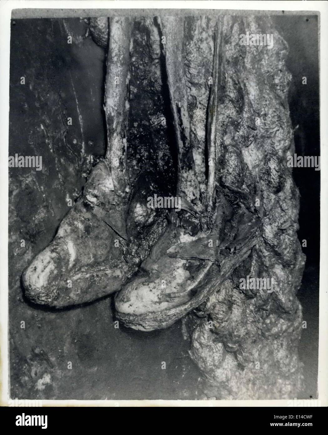 Apr. 17, 2012 - Shoes intact: on boney legs - one of the dozen or more complete skeletons found on board. Stock Photo