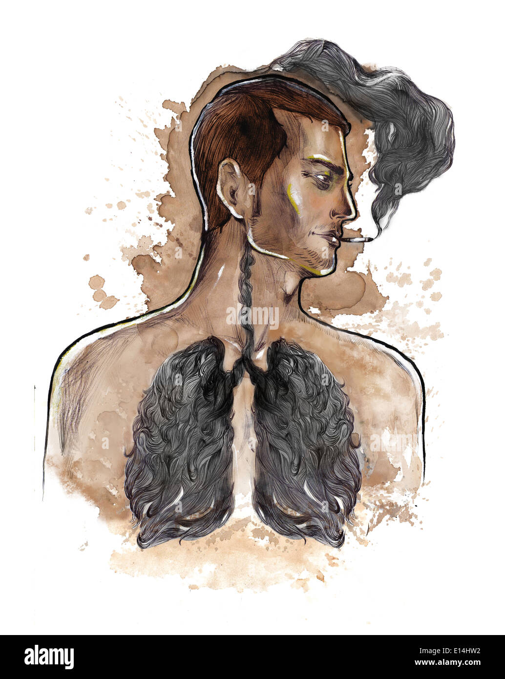 Damaged lungs hires stock photography and images Alamy