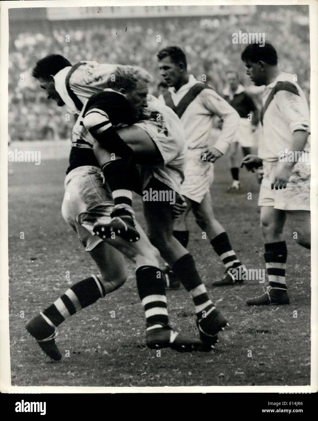Apr. 05, 2012 - A MIGHTY HEAVE - AND OVER HE GOES..! An amusing incident during Rugby match between the 'SAINTS' and ''MAGBIES'' - on the Sydney ground - as NORM PROVAN of the 'Saints' gives a mighty heave to toss MARK PATCH of the 'Magpies' over his shoulder..The two players are said to be about the heaviest in the business. Stock Photo