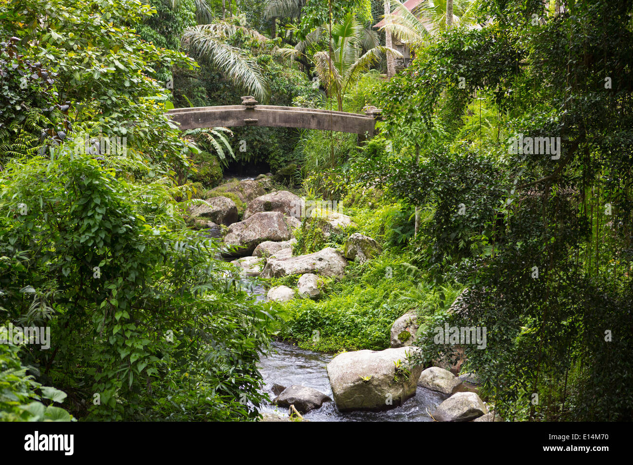 Stone bridge in rock creek park hi-res stock photography and images - Alamy