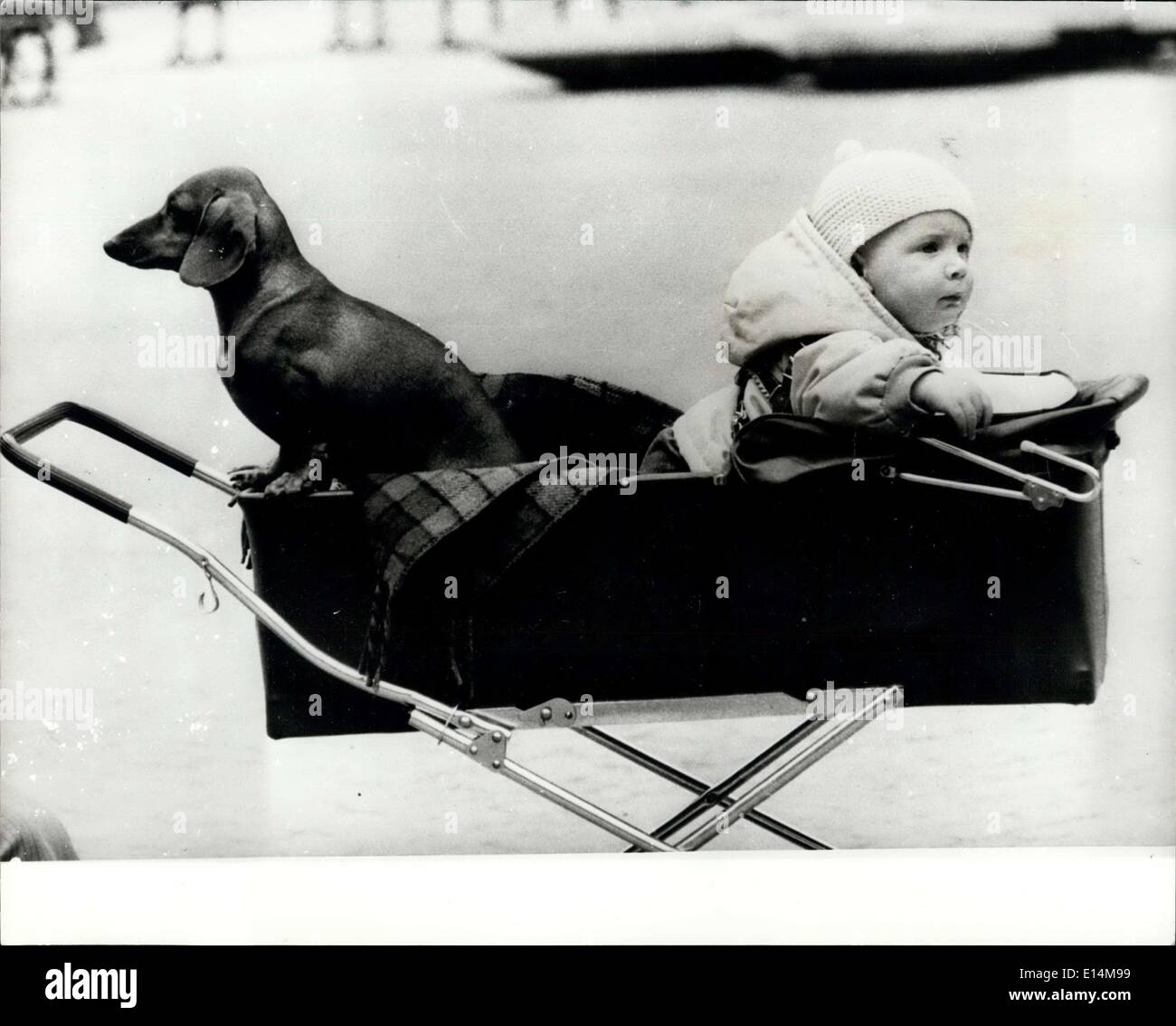 Apr. 05, 2012 - Fore and Aft There are always two ways of seeing things, Little Tommy Baines Looks aft, with his Dachshund looking to the fore. Stock Photo