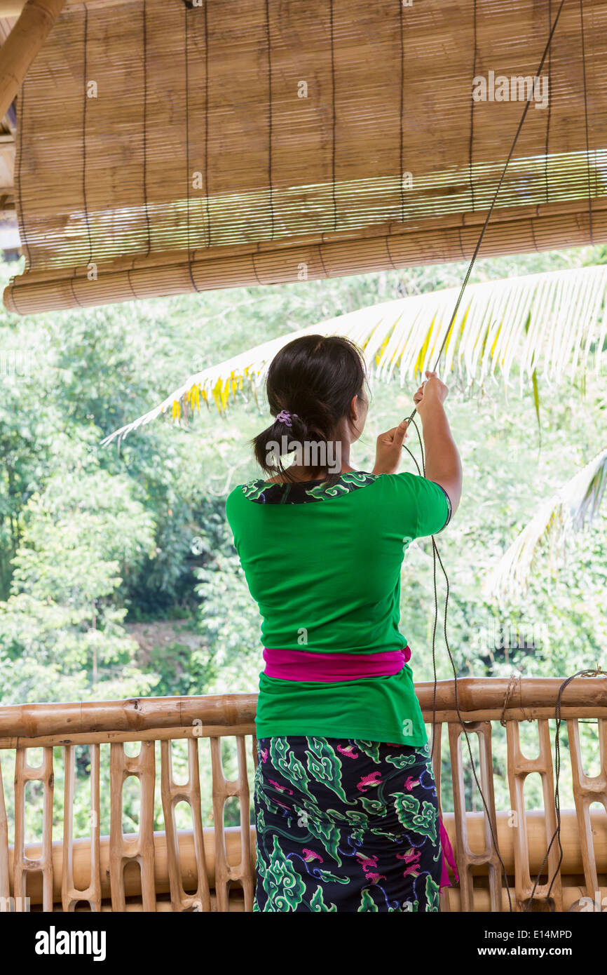 Balinese woman pulling up blinds Stock Photo