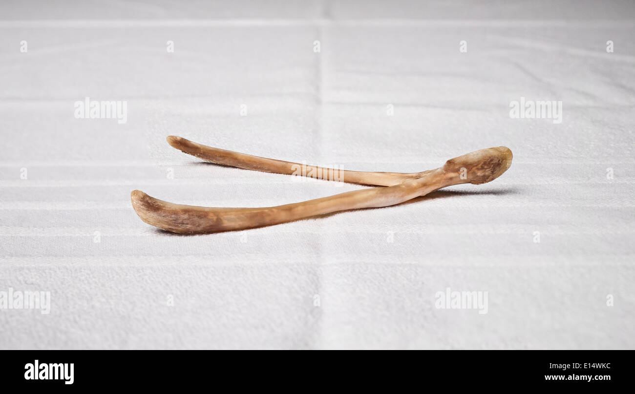 wishbone of a turkey Stock Photo