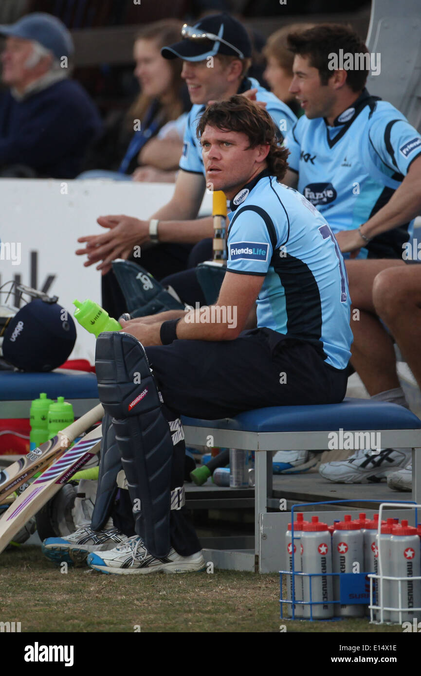 Sussex County Cricket player Lou Vincent Stock Photo