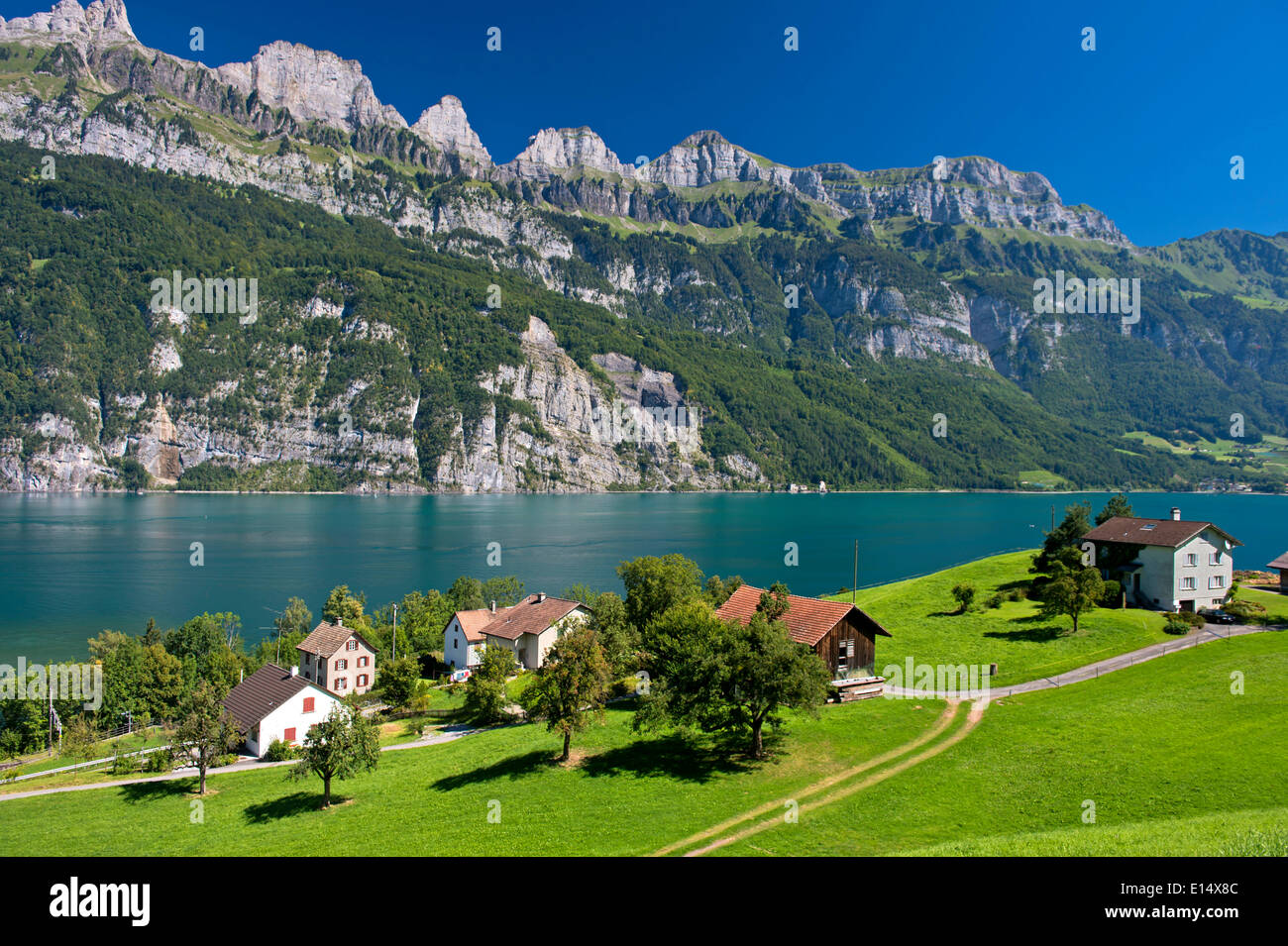 Settlement on Lake Walen in front of the Churfirsten range near Mols, Canton of St. Gallen, Switzerland Stock Photo