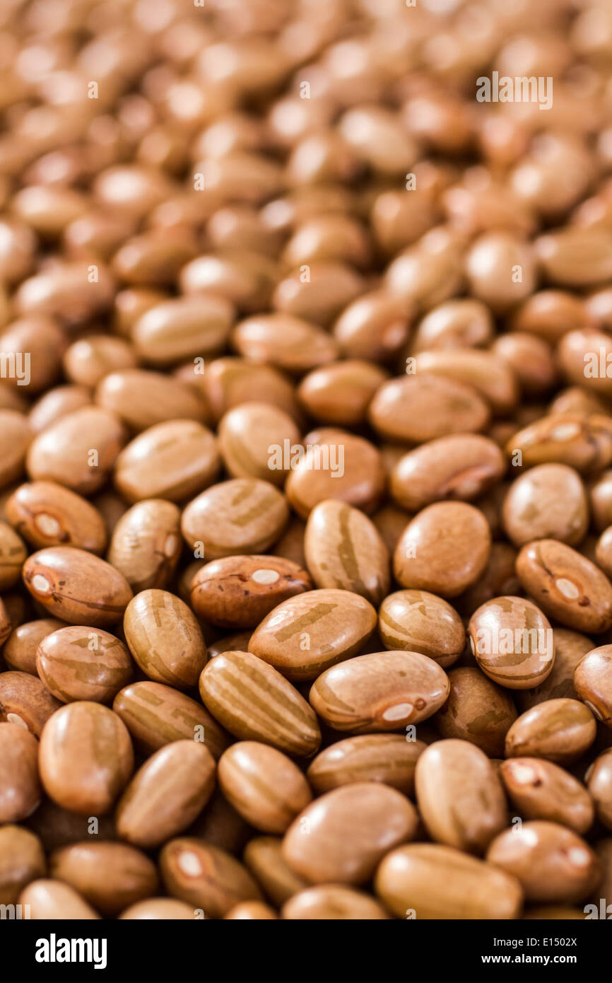 Uncooked pinto beans. Florianopolis, Santa Catarina, Brazil Stock Photo