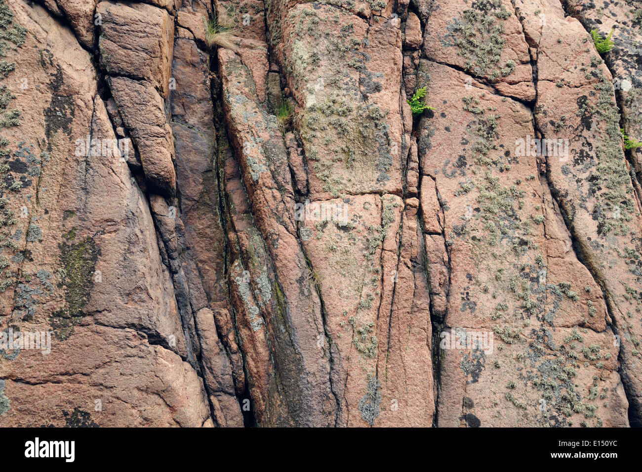 Sweden, Smoegen, Rock face at skerry coast Stock Photo - Alamy