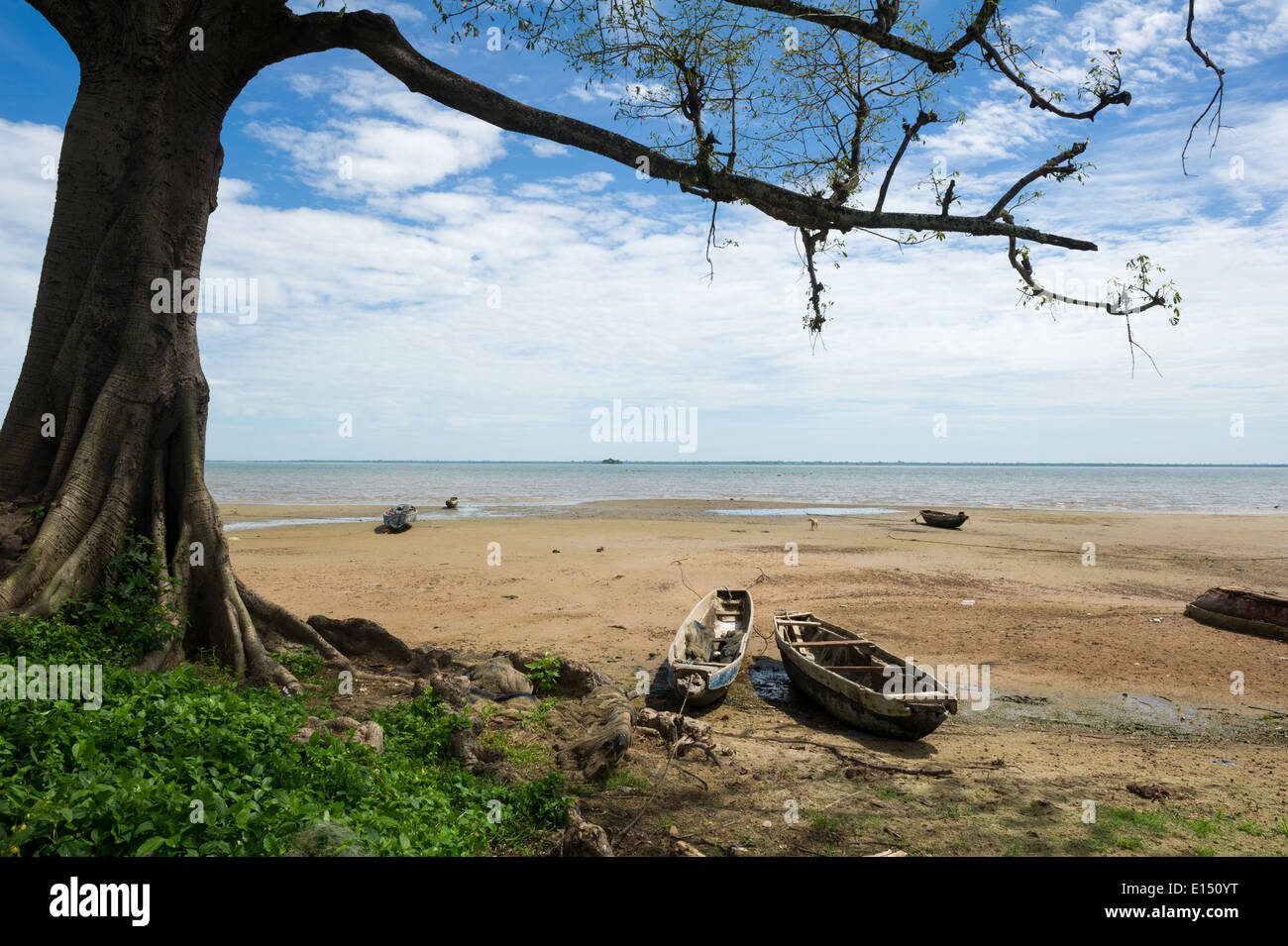 The Gambia River shore, Juffureh and Albreda, the Gambia Stock Photo