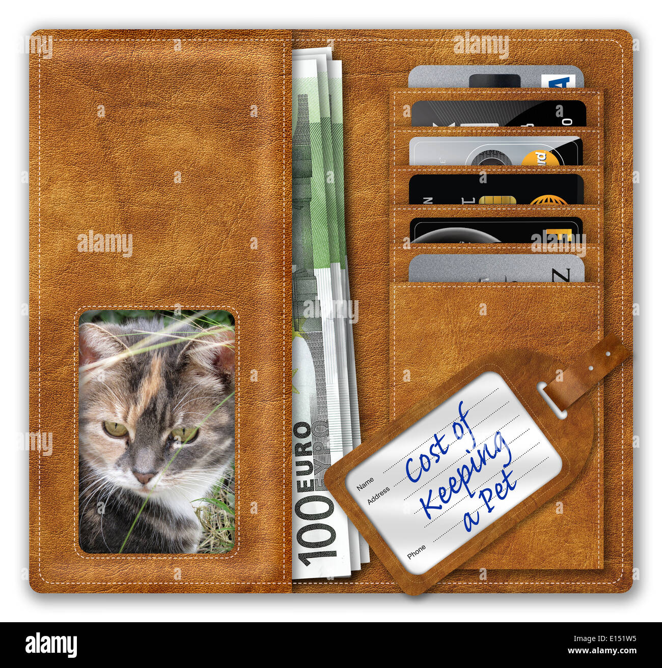 Wallet containing Euros and credit cards, with a female pet owner and cat, illustrating the cost of pet ownership. Stock Photo