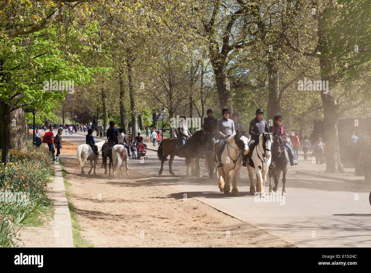 Riding school horse riders some on leading reins in Hyde Park. Stock Photo