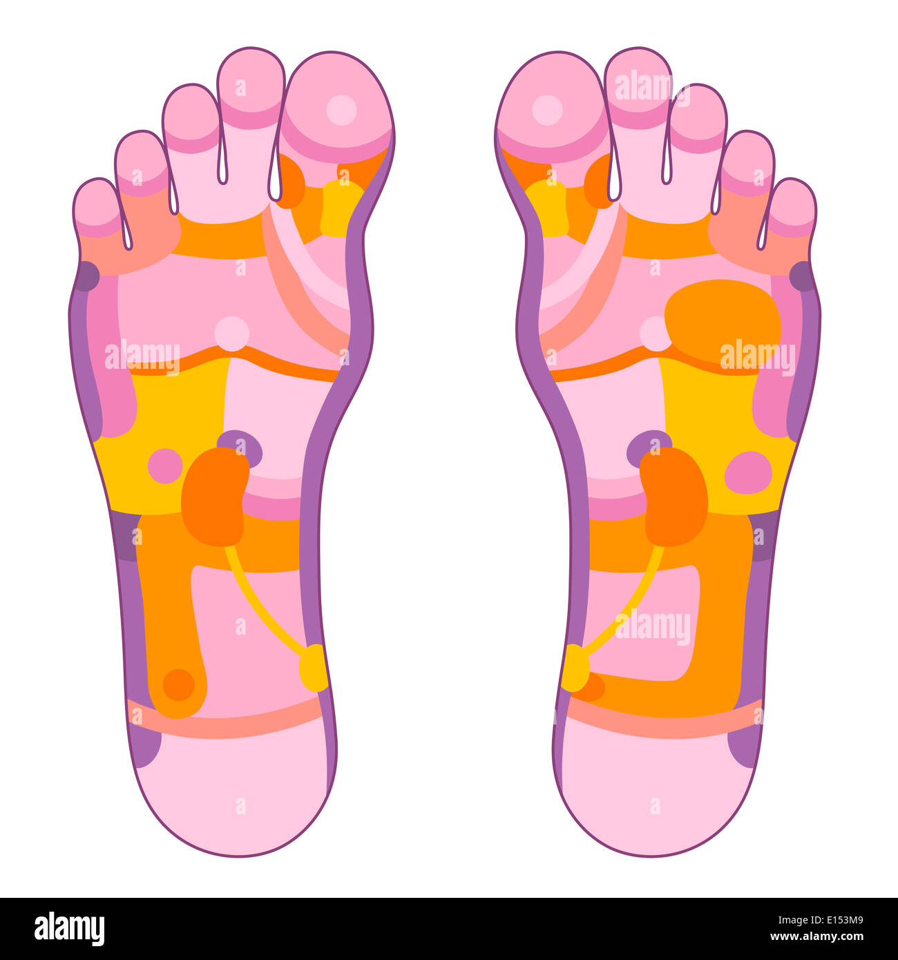 Foot reflexology illustration with different pink and orange colors concerning the corresponding internal organs and body parts. Stock Photo