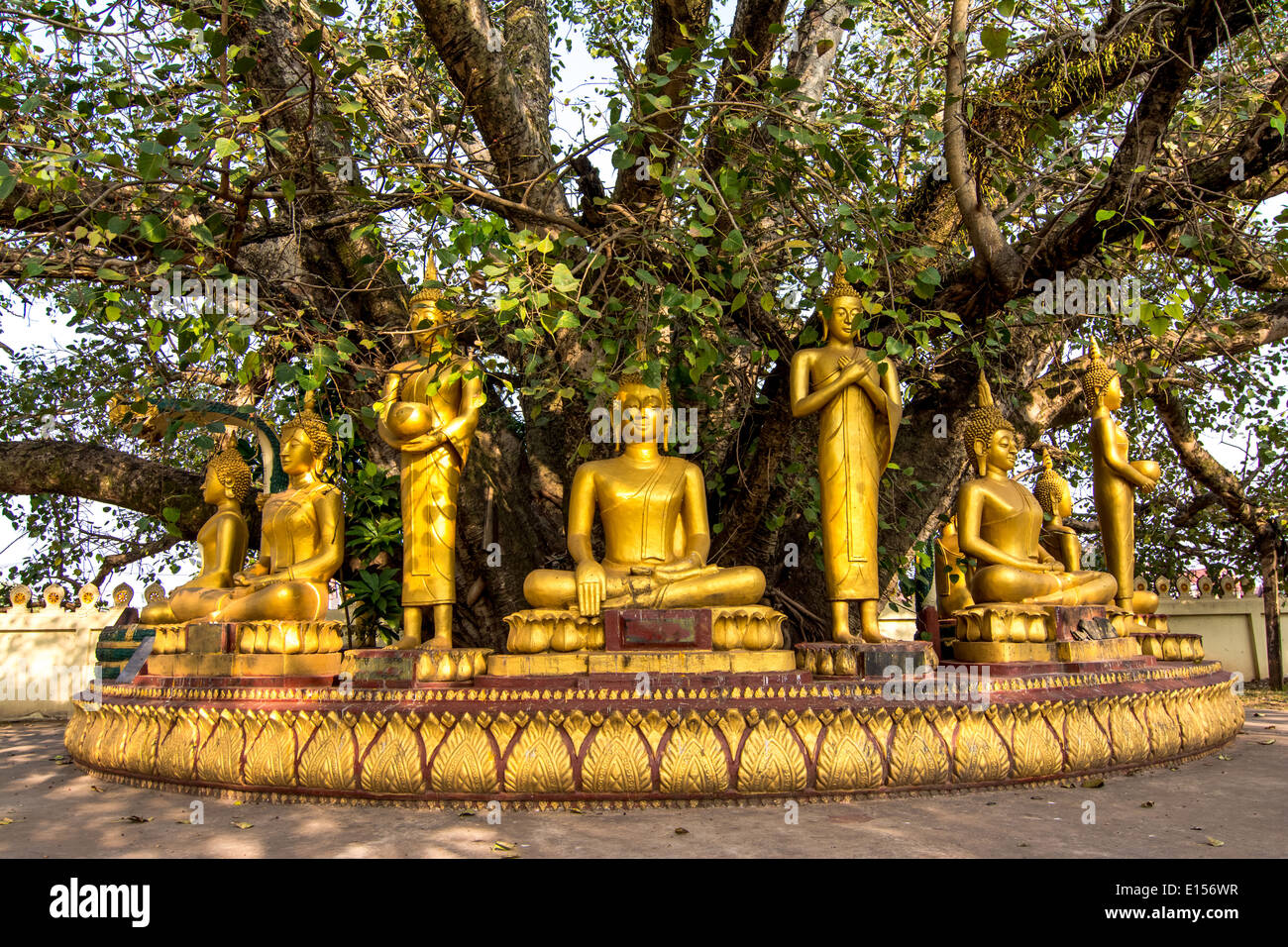 Buddha sculptures at Pha That Luang in Vientiane, Laos. Stock Photo