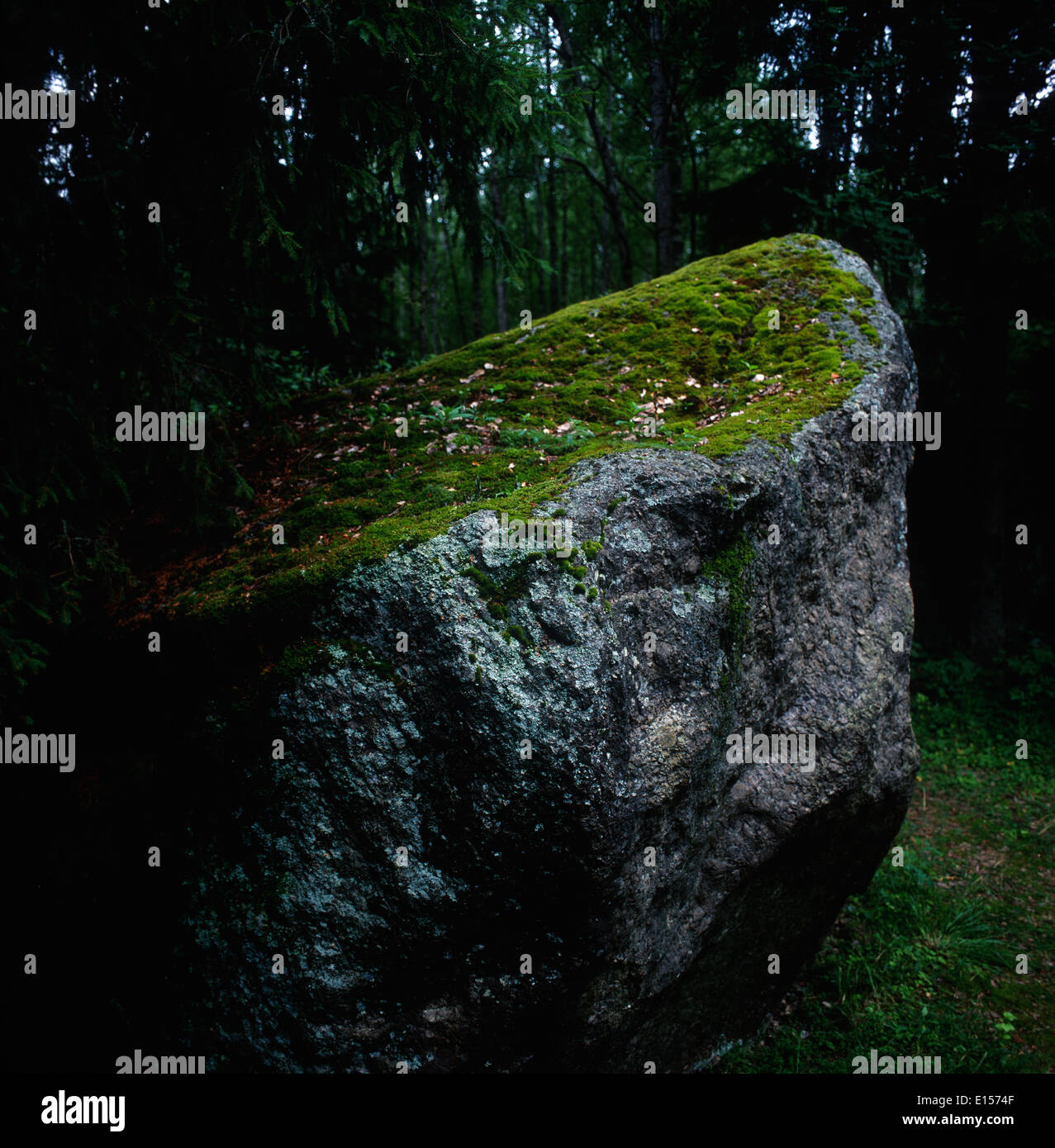 Mossy rock hires stock photography and images Alamy